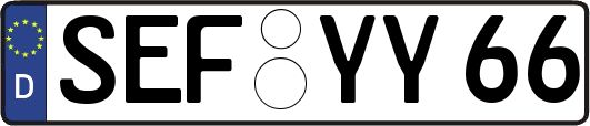 SEF-YY66