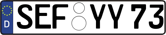 SEF-YY73