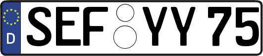 SEF-YY75