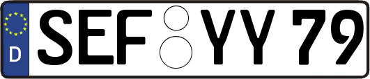 SEF-YY79