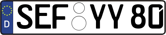 SEF-YY80