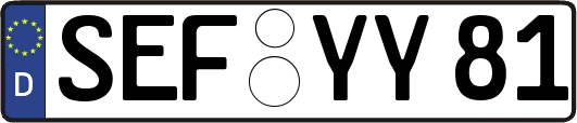 SEF-YY81