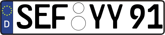 SEF-YY91