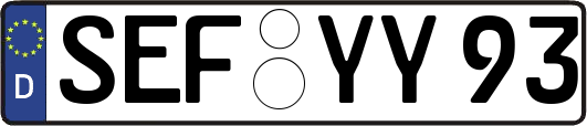 SEF-YY93
