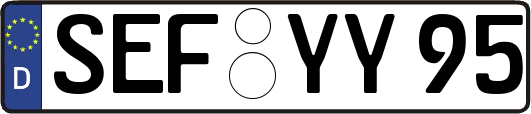SEF-YY95