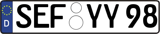 SEF-YY98