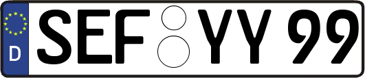 SEF-YY99