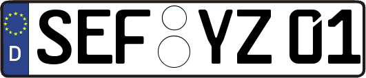 SEF-YZ01