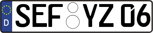 SEF-YZ06
