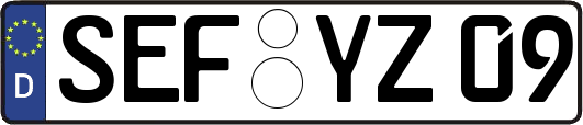 SEF-YZ09