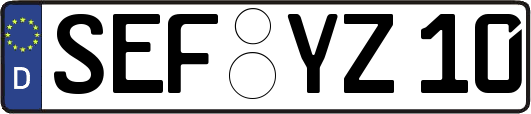 SEF-YZ10
