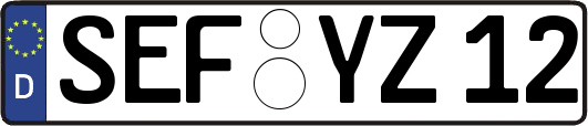 SEF-YZ12