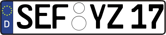 SEF-YZ17