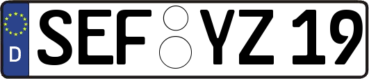 SEF-YZ19