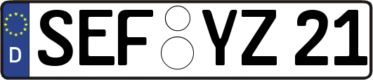 SEF-YZ21