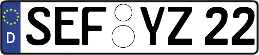 SEF-YZ22