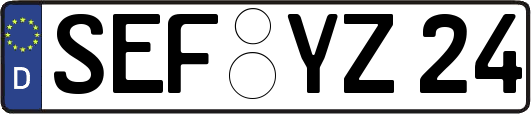 SEF-YZ24