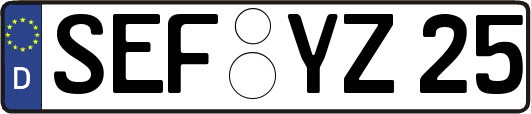 SEF-YZ25