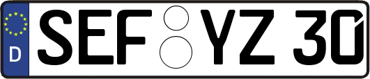 SEF-YZ30