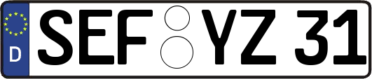 SEF-YZ31
