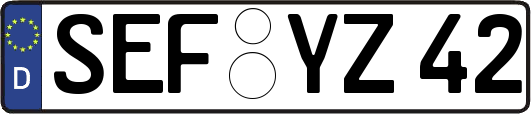 SEF-YZ42