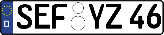 SEF-YZ46