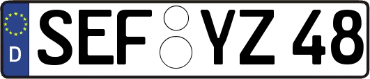 SEF-YZ48