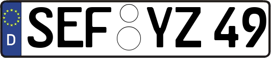 SEF-YZ49