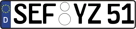 SEF-YZ51