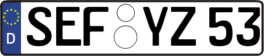 SEF-YZ53