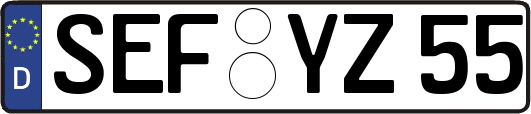 SEF-YZ55