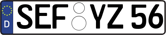 SEF-YZ56