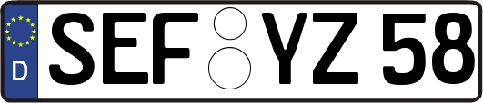 SEF-YZ58