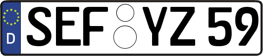 SEF-YZ59