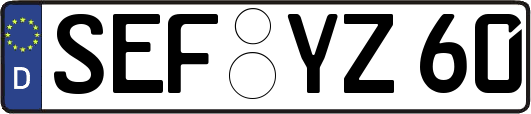 SEF-YZ60