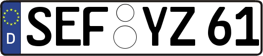 SEF-YZ61