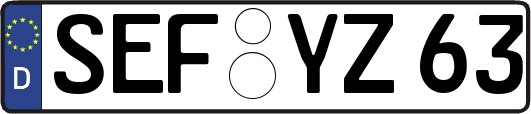 SEF-YZ63