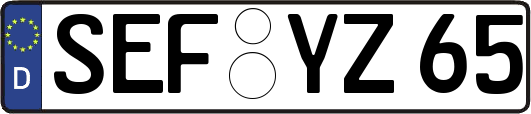 SEF-YZ65
