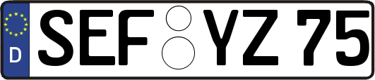 SEF-YZ75