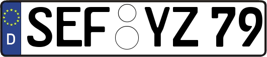 SEF-YZ79
