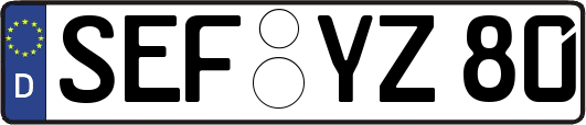 SEF-YZ80