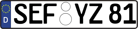 SEF-YZ81
