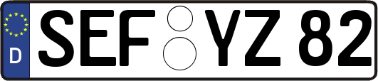 SEF-YZ82