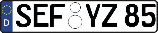 SEF-YZ85