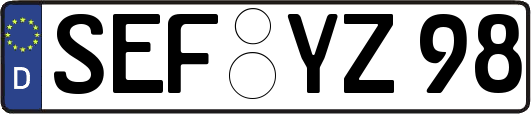SEF-YZ98