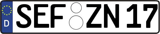 SEF-ZN17