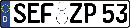 SEF-ZP53