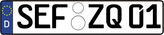 SEF-ZQ01