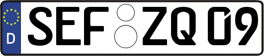 SEF-ZQ09