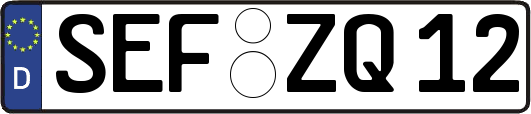 SEF-ZQ12
